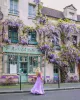 Wisteria Fleuriste