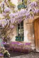 Wisteria Fleuriste