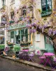 Wisteria Fleuriste