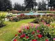 Rose Garden