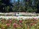 Rose Garden