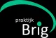 Praktijk Brig