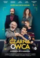 Czarna Owca