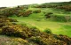 Braid Hills Golf Centre Coffee Shop