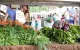 Boulder Farmers' Market