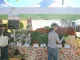 Boulder Farmers' Market