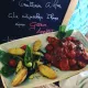 Trattoria Wilma