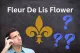 Fleur de lis