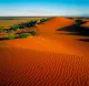 Simpson Desert Oasis