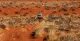 Simpson Desert Oasis