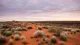 Simpson Desert Oasis