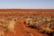 Simpson Desert Oasis