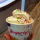 Yogurty's Froyo