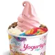 Yogurty's Froyo