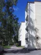 Oljenkorsi