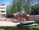Oljenkorsi