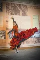 Flamenco Design