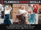 Flamenco Design