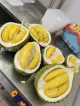 Wonderful Durian