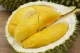 Wonderful Durian