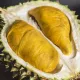 Wonderful Durian