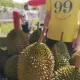 Wonderful Durian