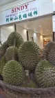 Wonderful Durian