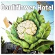 The Cauliflower Hotel