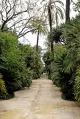 Il Giardino delle Palme