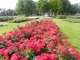 Bloemenhart