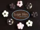 Sugar Bliss Cake Boutique