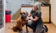 Caledon East Veterinary Office