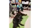 Caledon East Veterinary Office
