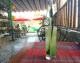 Mate Restaurant and Coffee Hoi An