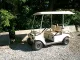 Golf Car Rental