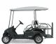 Golf Car Rental