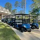 Golf Car Rental