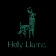 Holy Llama