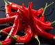 Piment Rouge