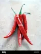 Piment Rouge