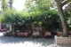 Elia's Garden Taverna