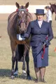 Baker's Barn Saddlery