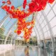 The Bar at Chihuly Garden & Glass