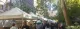 Rittenhouse Market