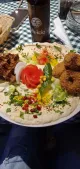 Vegan Revolution