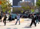 Westwood Village Farmers Market