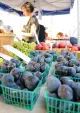 Westwood Village Farmers Market