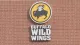 Buffalo Wild Wings