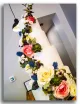The Cake Company