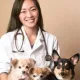 Seven Hills Veterinary Hospital